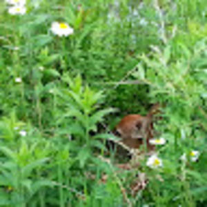 Meet your Posher, Lonnie